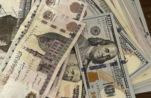 محافظ المركزي المصري يوضح أسباب الهبوط التاريخي للجنيه أمام الدولار