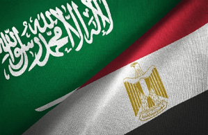 الشركة المتحدة للإعلام تعلن تضامنها مع المؤسسات السعودية وترفض محاولات الوقيعة بين البلدين